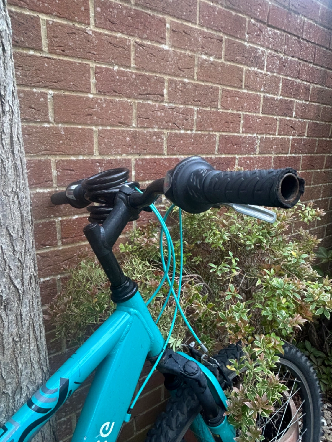 Apollo Entice Womens Mountain Bike 2023