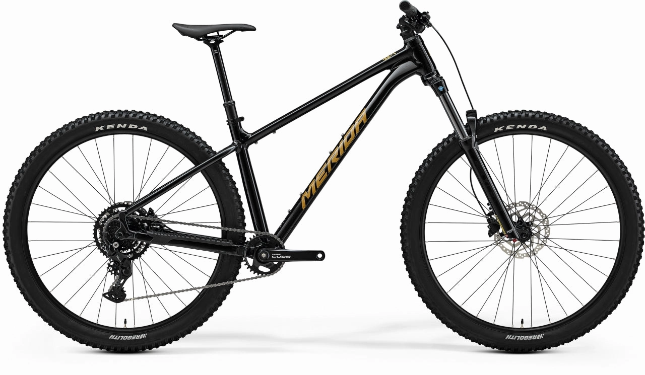Big Trail 300 2025