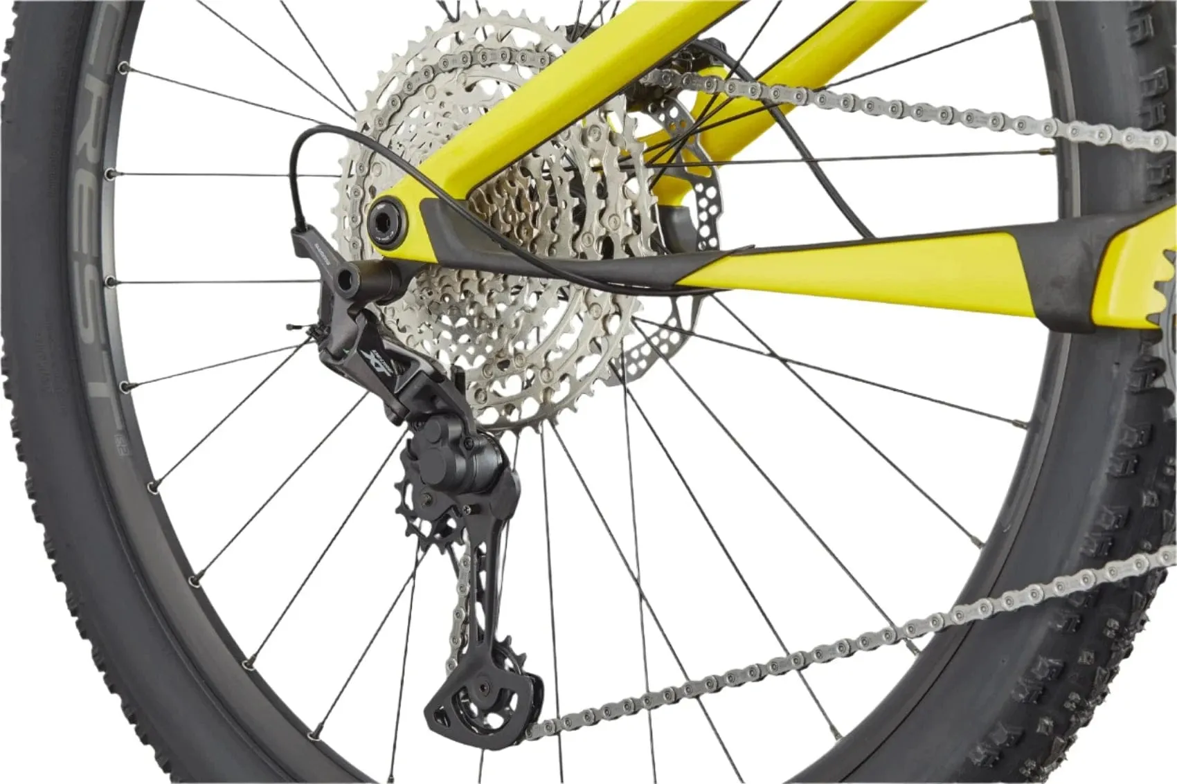 Cannondale Scalpel Carbon 4
