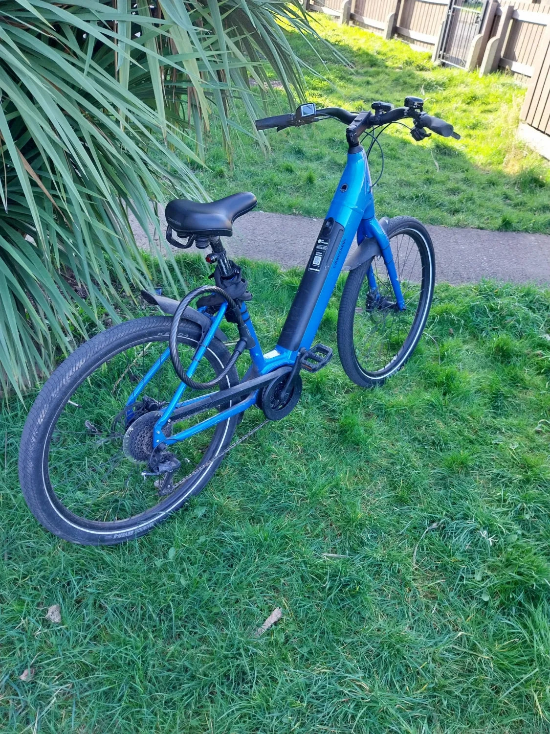 Cannondale Adventure 1 2023
