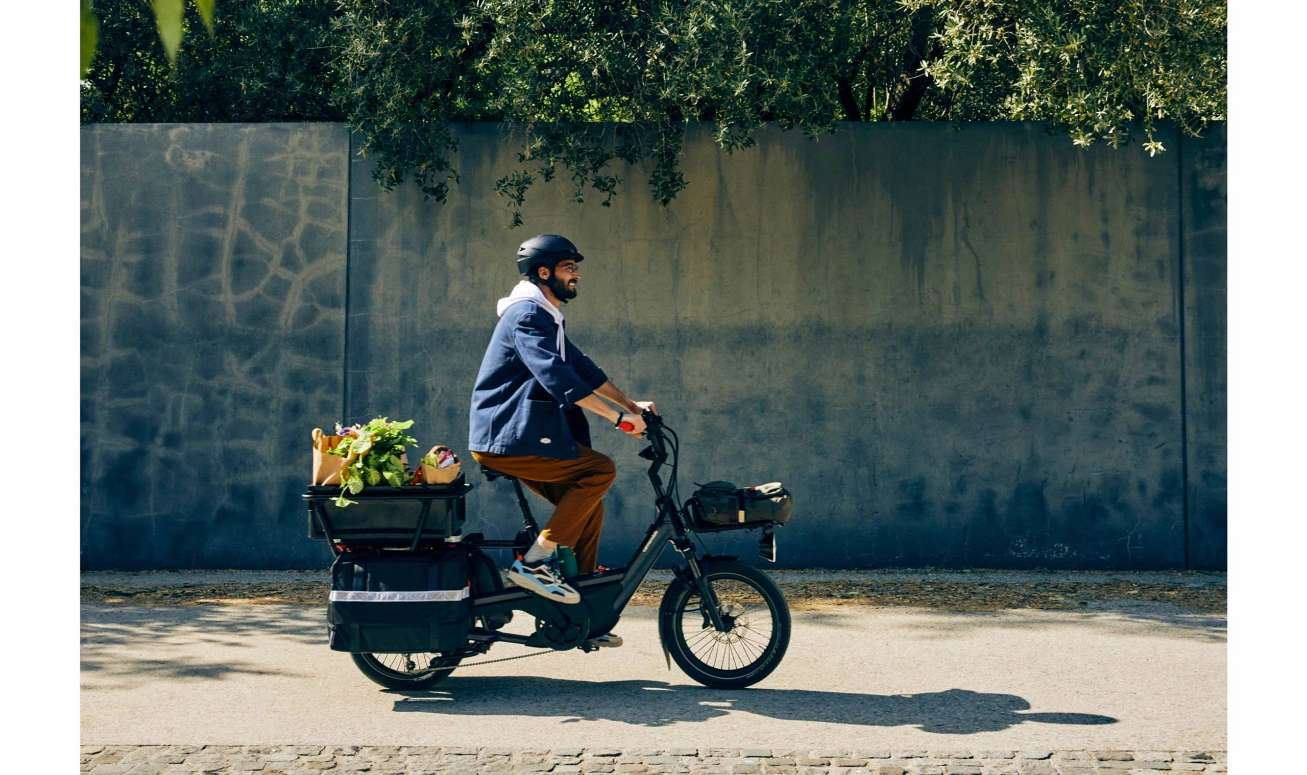 Cannondale Cargowagen Neo Cargo Electric Bike - Sage Grey