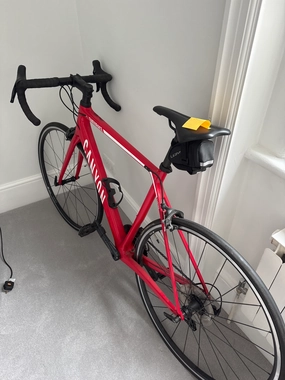 Canyon Endurace CF 8.0 2019