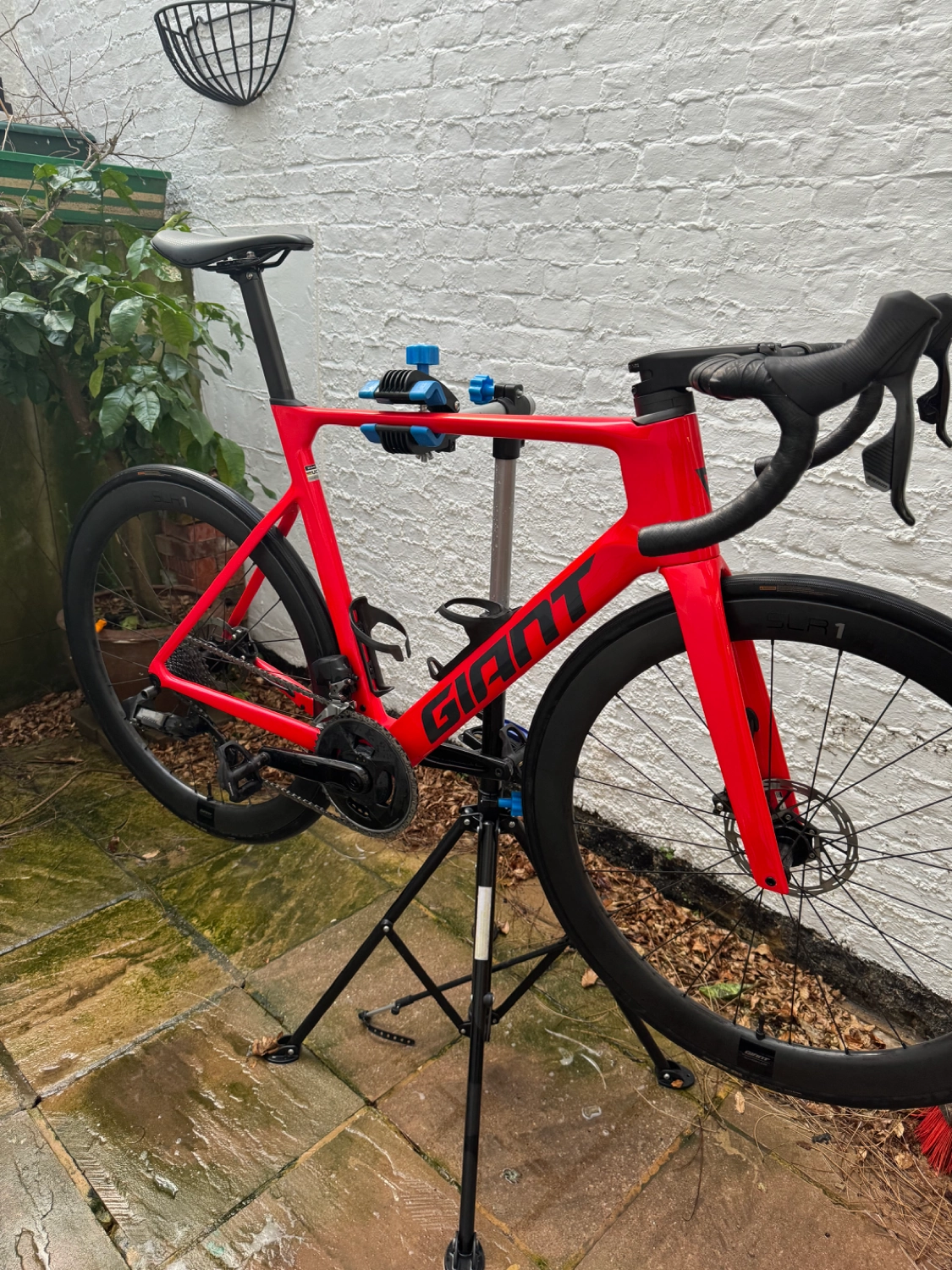 Giant Propel Advanced Pro 1 2023
