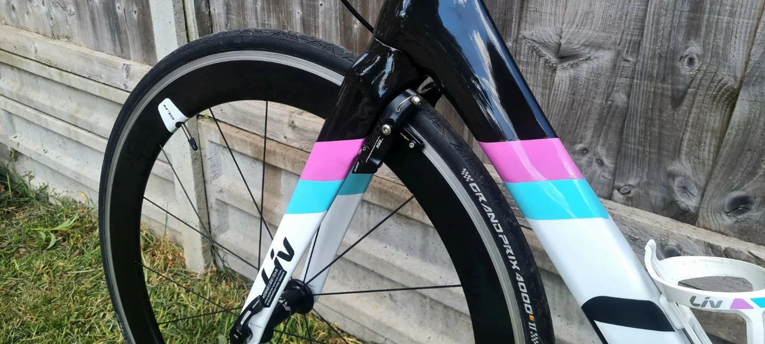 Liv EnviLiv Advanced - SL Frameset 2016