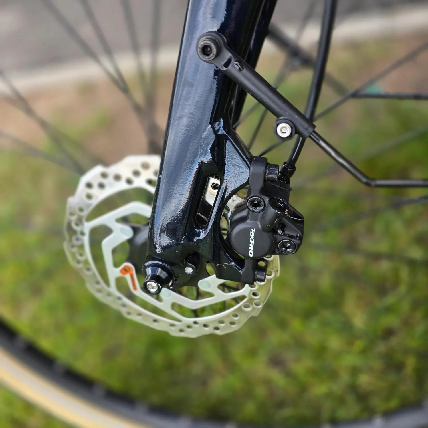 Momentum Transend E  2022