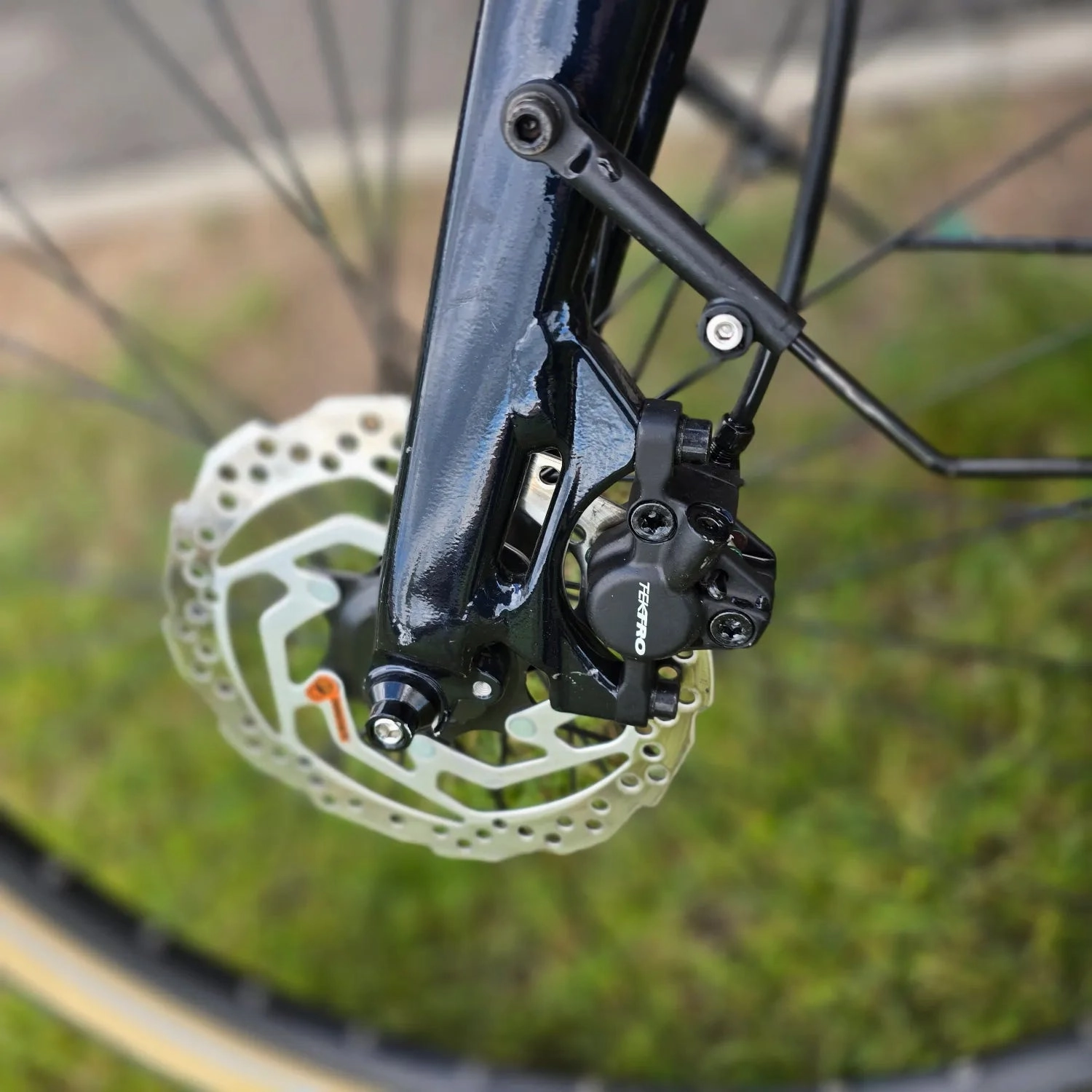 Momentum Transend E  2022