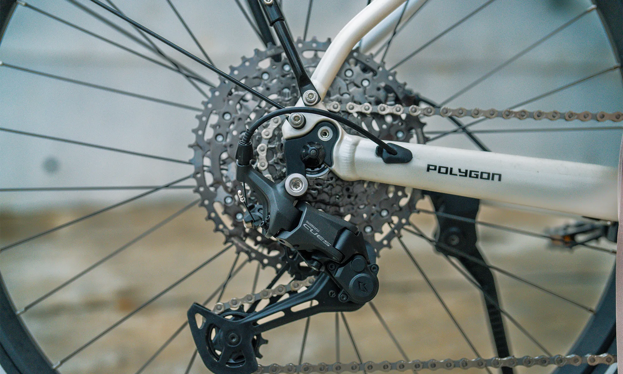 Polygon Kalosi Lanes Prime - Bosch Urban E-Bike [new]