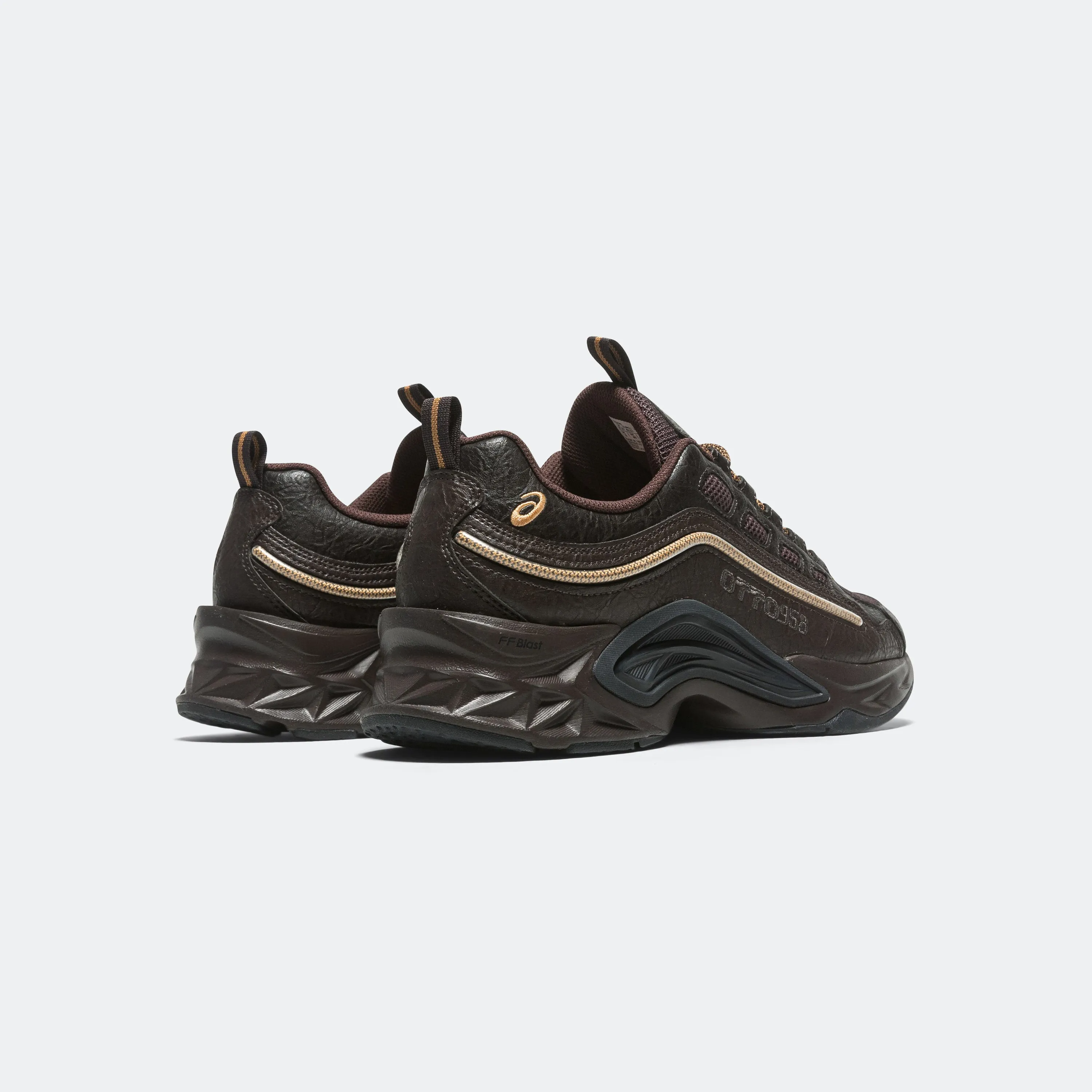 PROTOBLAST-CMLVIII x OTTO958 - Brown/Black