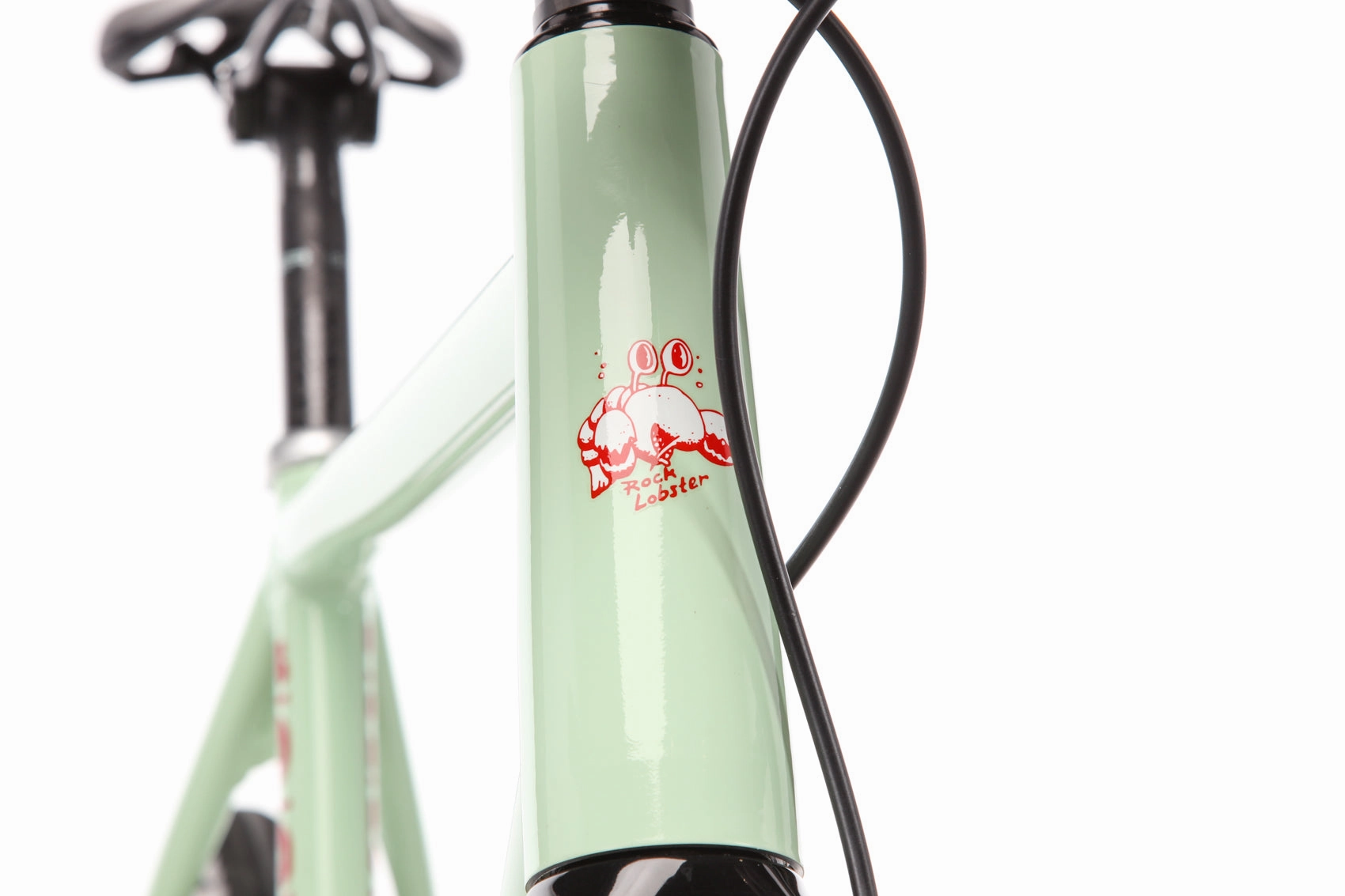 Rock Lobster Team Issue Gravel Custom Gravel Bike - Large