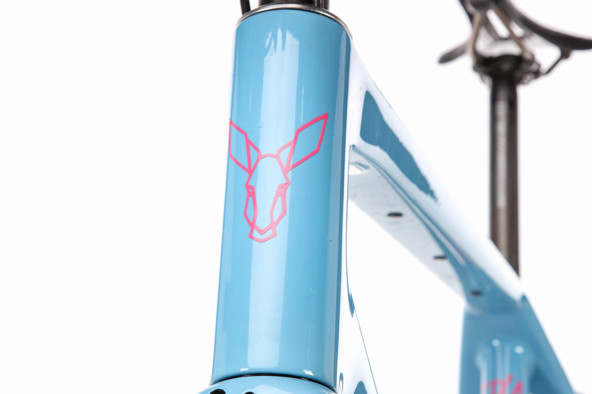 Rodeo Labs Traildonkey 4.0 Gravel Bike - 2023, 58cm