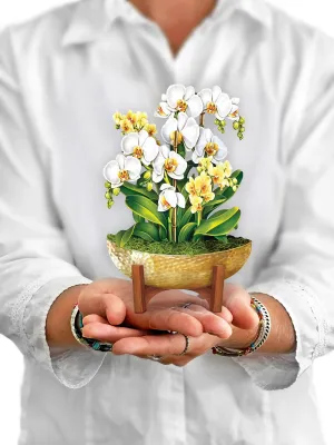 Serenity Orchid Mini Pop Up Flower Bouquet Greeting Card