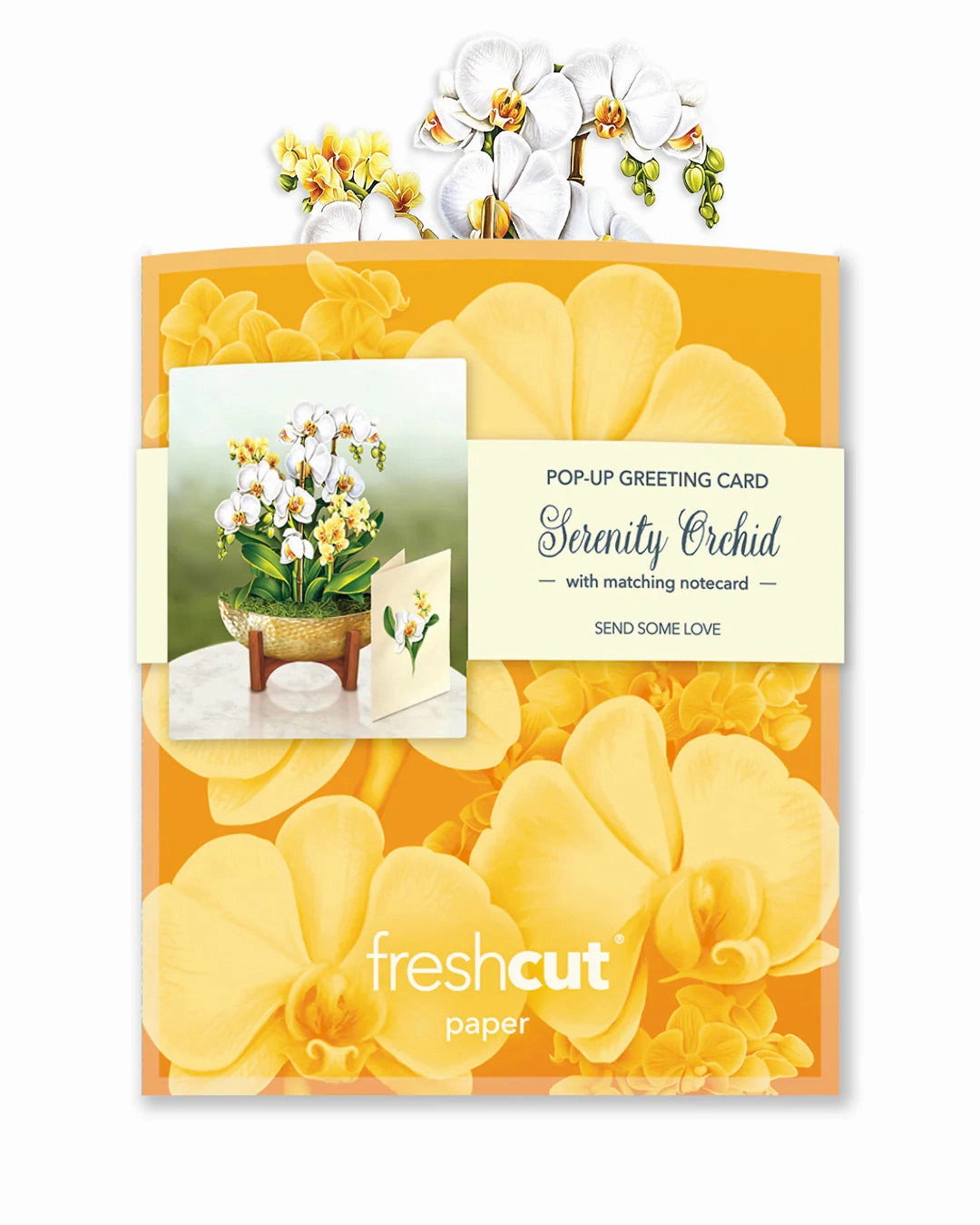 Serenity Orchid Mini Pop Up Flower Bouquet Greeting Card