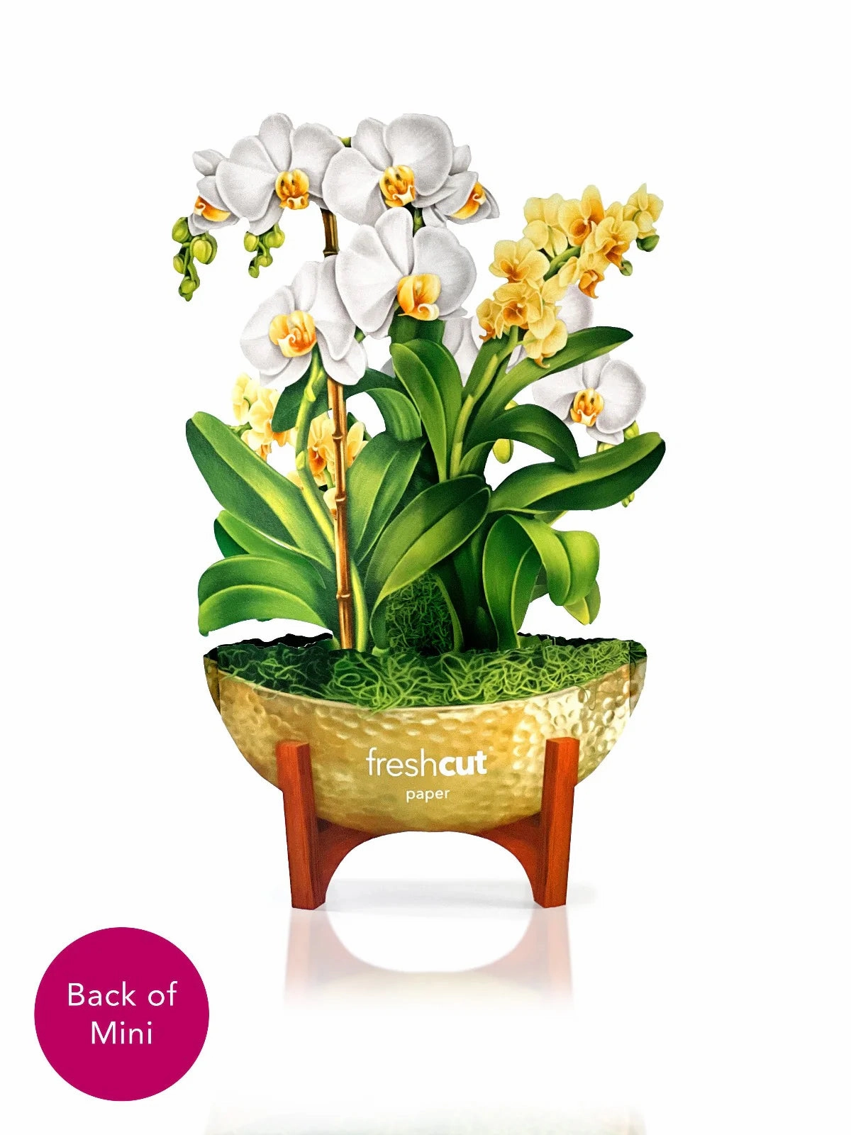 Serenity Orchid Mini Pop Up Flower Bouquet Greeting Card