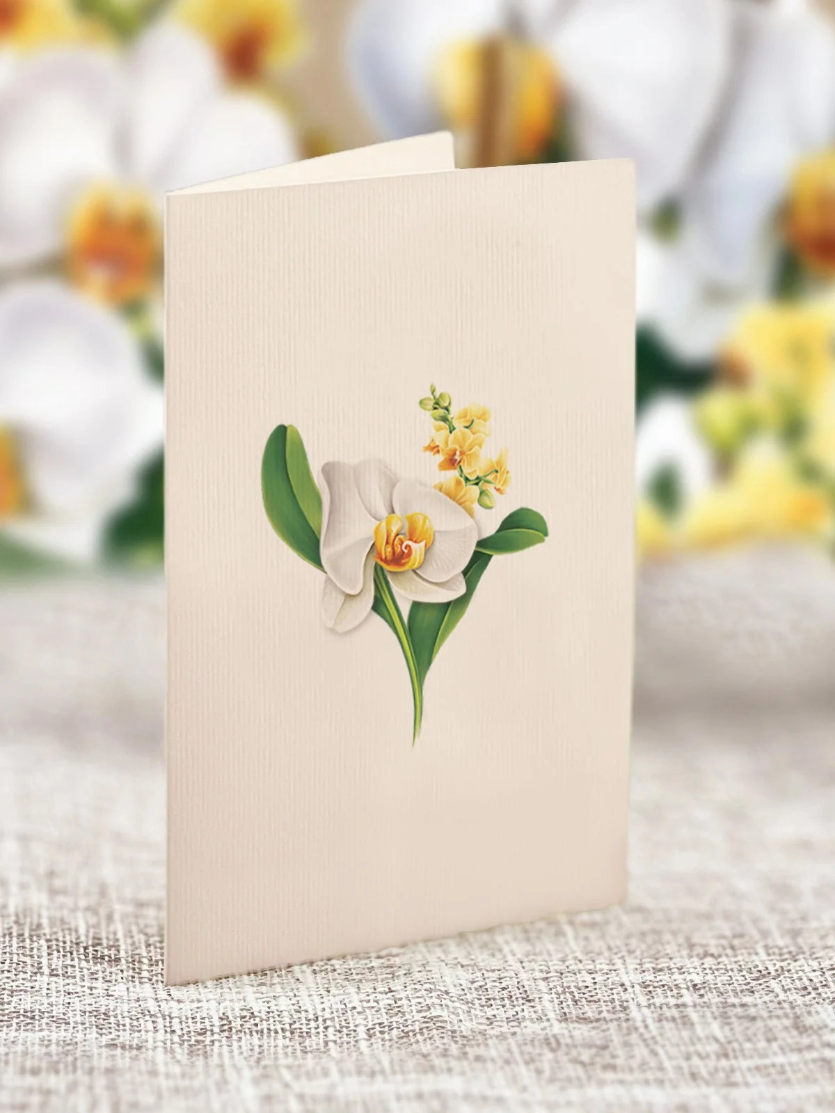Serenity Orchid Mini Pop Up Flower Bouquet Greeting Card