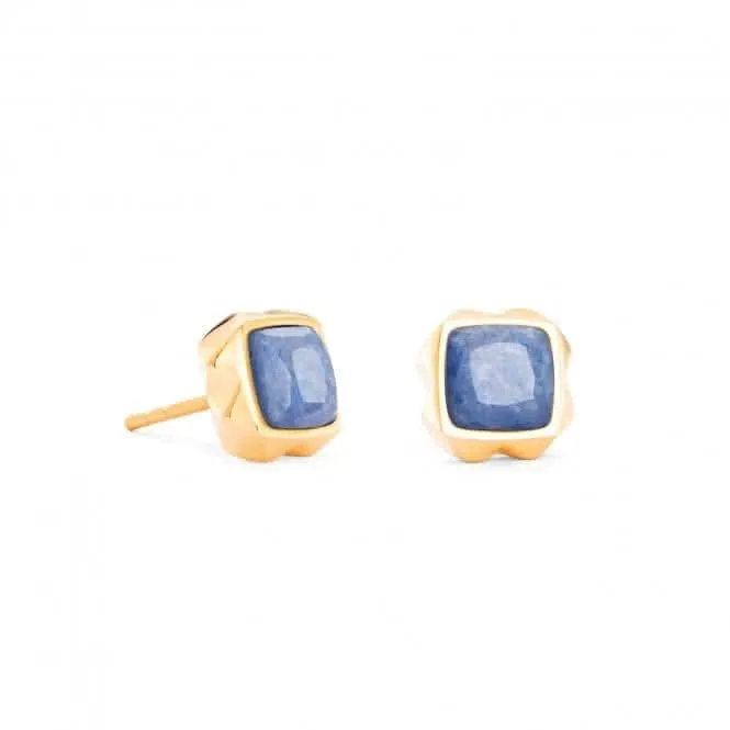 Stainless Steel Blue Gold Ear Studs 1200/21-0716 Coeur De Lion Jewellery