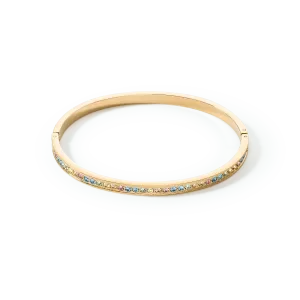 Stainless Steel Crystal Glass Multicolour Pastel Gold Bangle 0127/33-1590 Coeur De Lion Jewellery