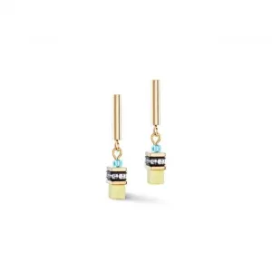 Stainless Steel Multicolour Ear Studs 2801/21-1500 Coeur De Lion Jewellery