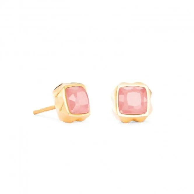 Stainless Steel Rose Gold Ear Studs 1200/21-1916 Coeur De Lion Jewellery