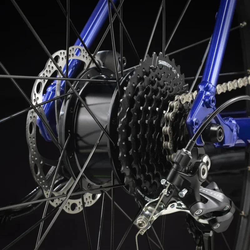 Trek Dual Sport  2 Stagger - Hex Blue