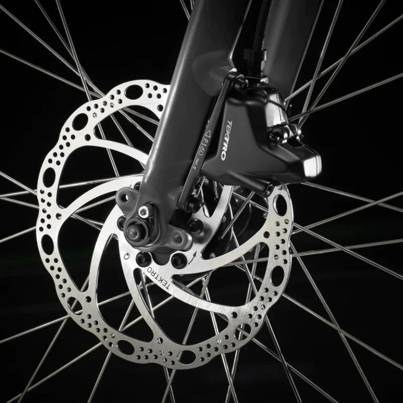 Trek FX 2 Disc - Satin Lithium Grey