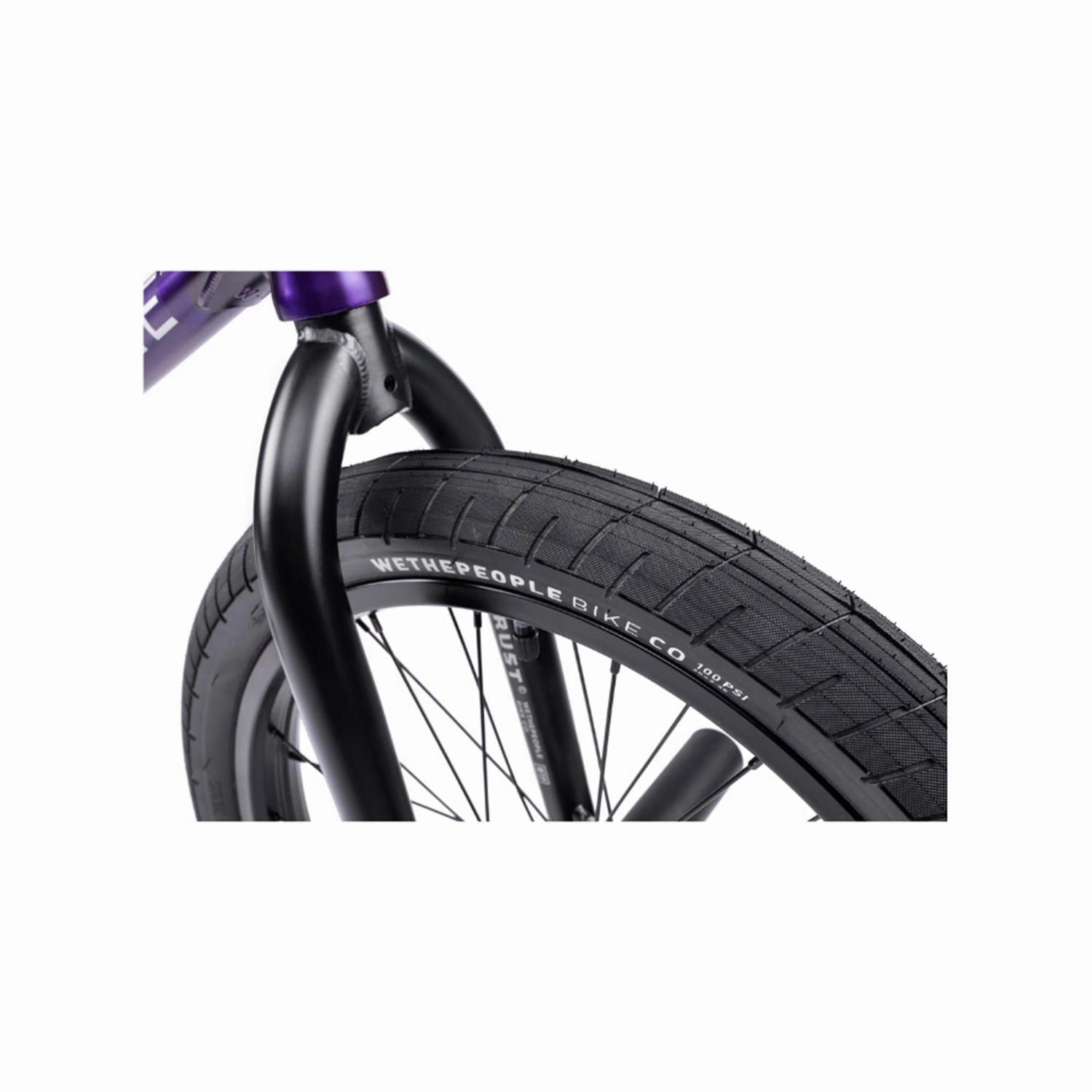Wethepeople Trust CS 20" BMX